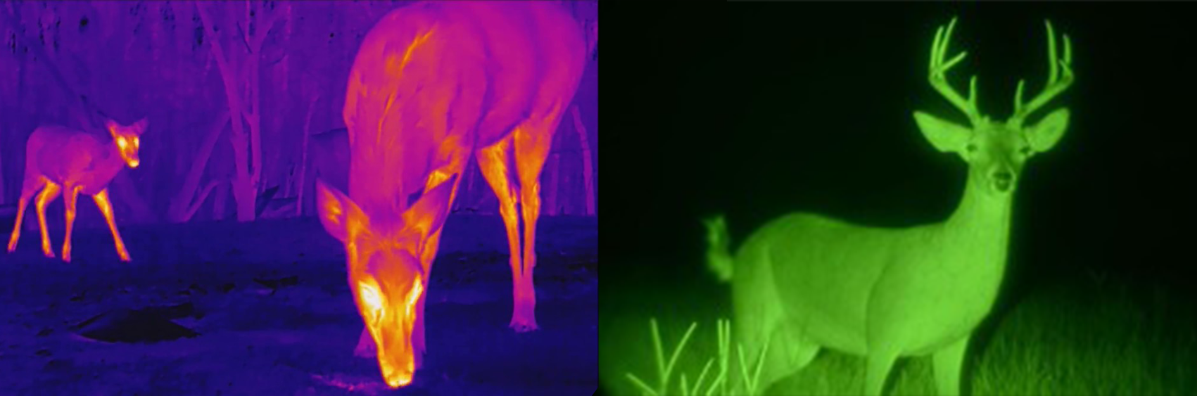What's The Difference between Thermal Imaging and Night Vision?