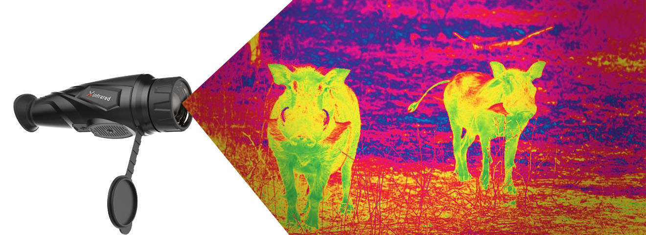What's The Difference between Thermal Imaging and Night Vision?